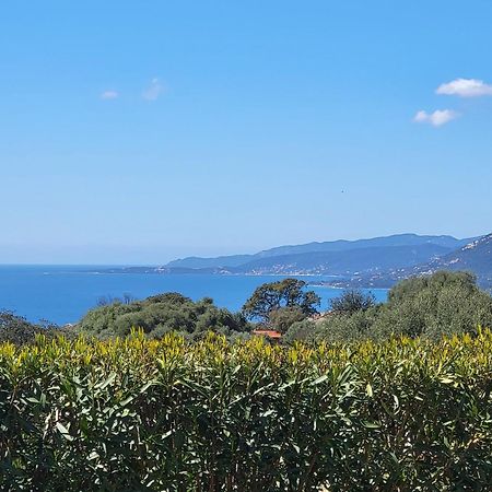 T2 Propriano Vue Mer, Neuf, Climatise Et Classe 3 Etoiles Viggianello ภายนอก รูปภาพ