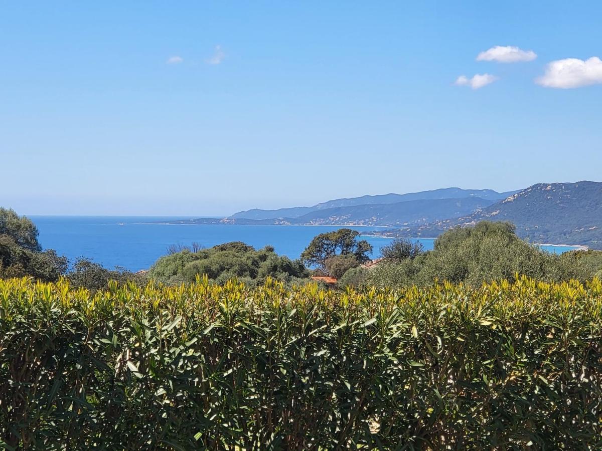 T2 Propriano Vue Mer, Neuf, Climatise Et Classe 3 Etoiles Viggianello ภายนอก รูปภาพ