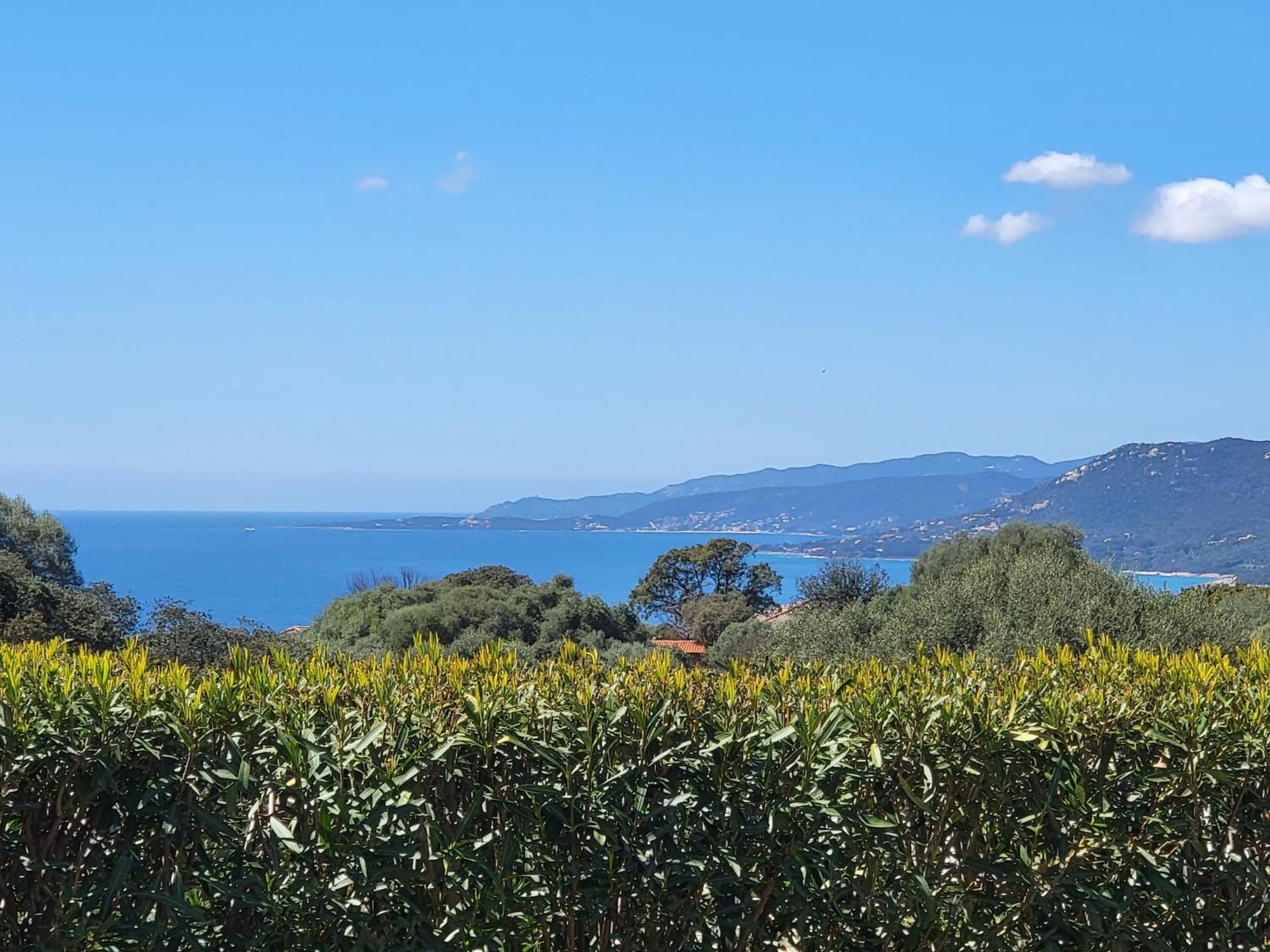 T2 Propriano Vue Mer, Neuf, Climatise Et Classe 3 Etoiles Viggianello ภายนอก รูปภาพ